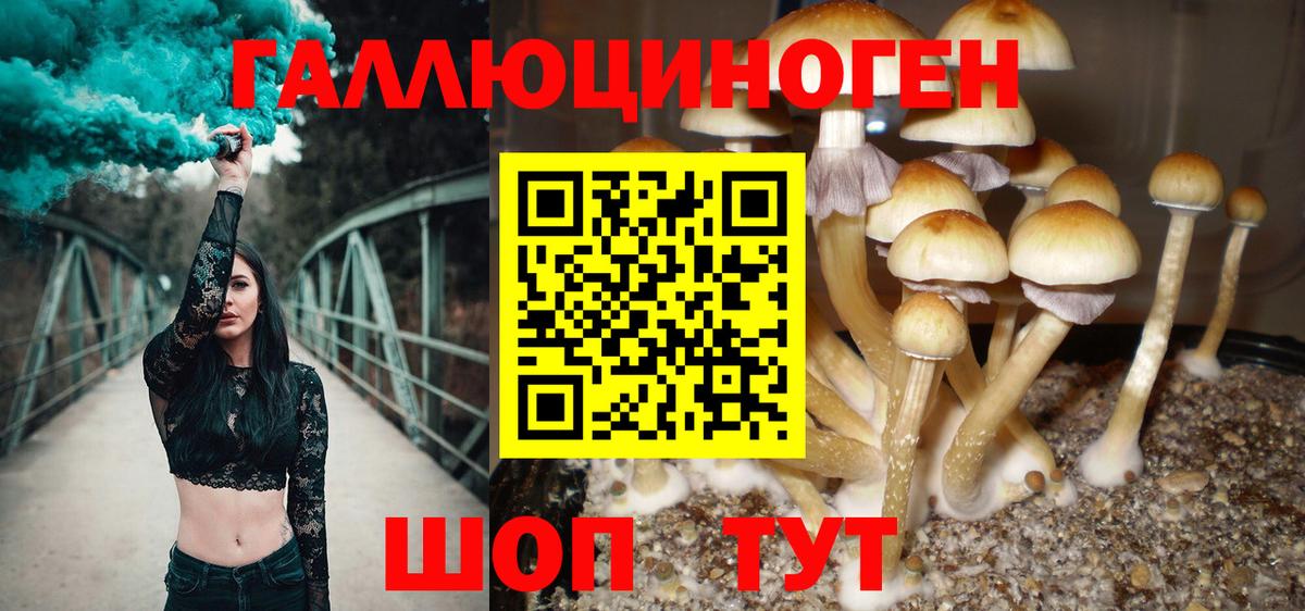 Галлюциногенные грибы Magic Shrooms Королёв