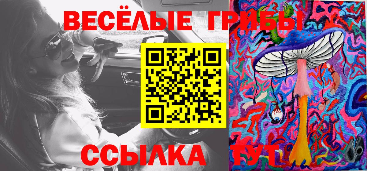 Королёв  Галлюциногенные грибы GOLDEN TEACHER  сколько стоит  Вход с VPN 