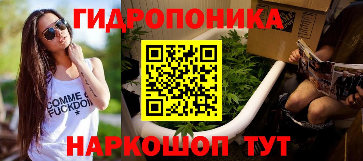 Каннабис Ganja  Конопля OG Kush  МАРИХУАНА семена  Вход с VPN  Королёв 